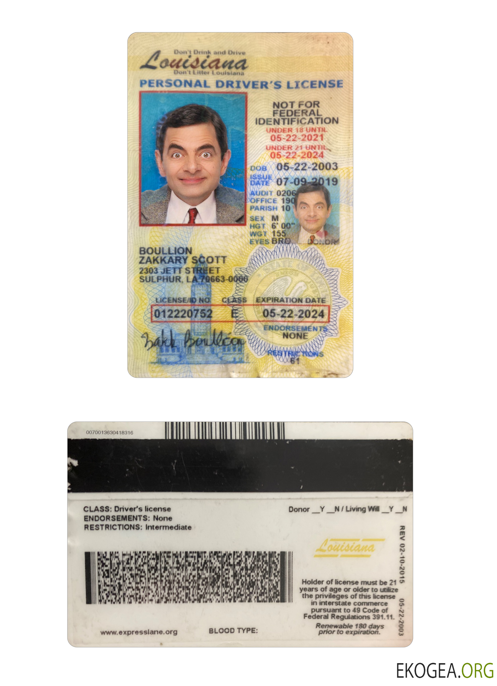 USA Louisiana under 21 driving license